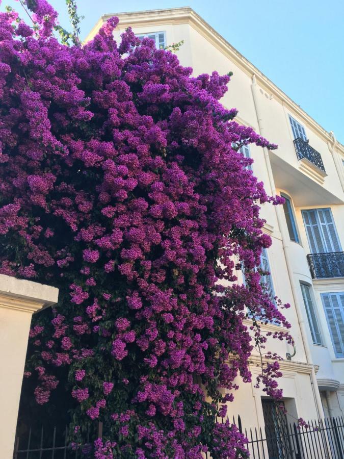 Amazing Studio Cannes Center Bagian luar foto